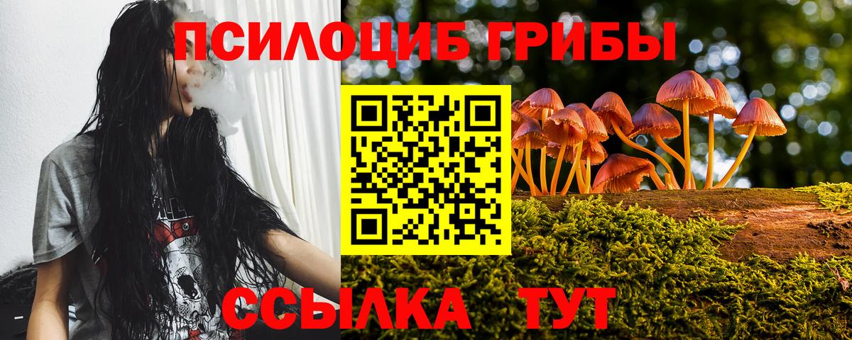 Галлюциногенные грибы ЛСД  Псилоцибиновые грибы Psilocybine cubensis  продажа наркотиков  Троицк  Вход с VPN 